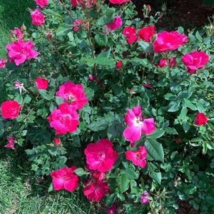 We love ❤️  Offers